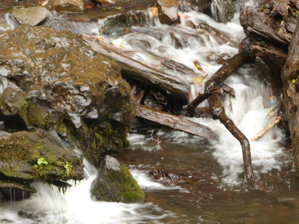 Petit ruisseau de la Bridal Veil Falls