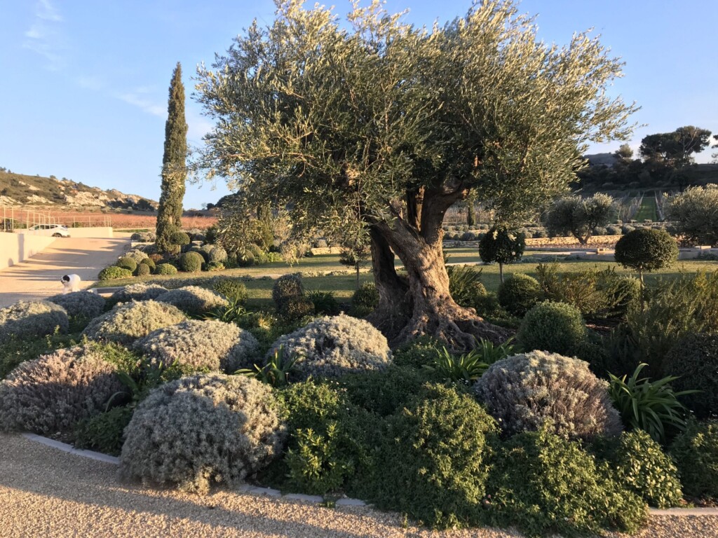 Domaine de Lauzière