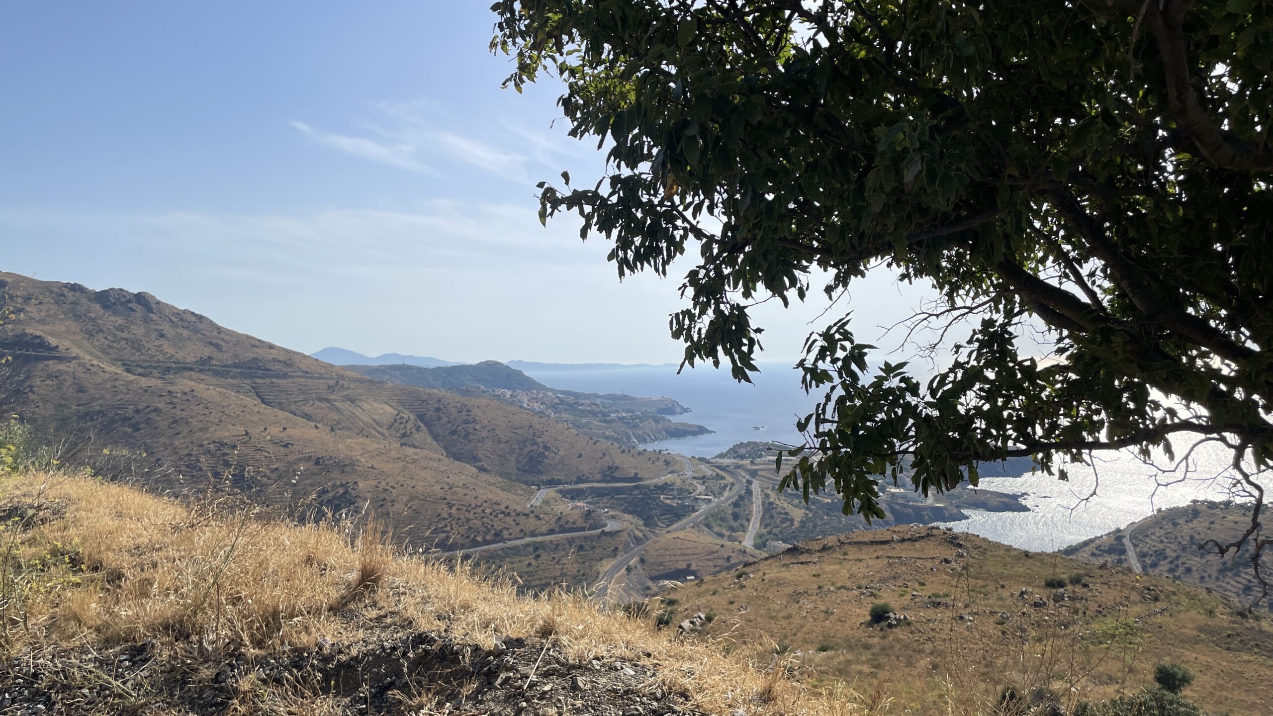 banyuls-sur-mer