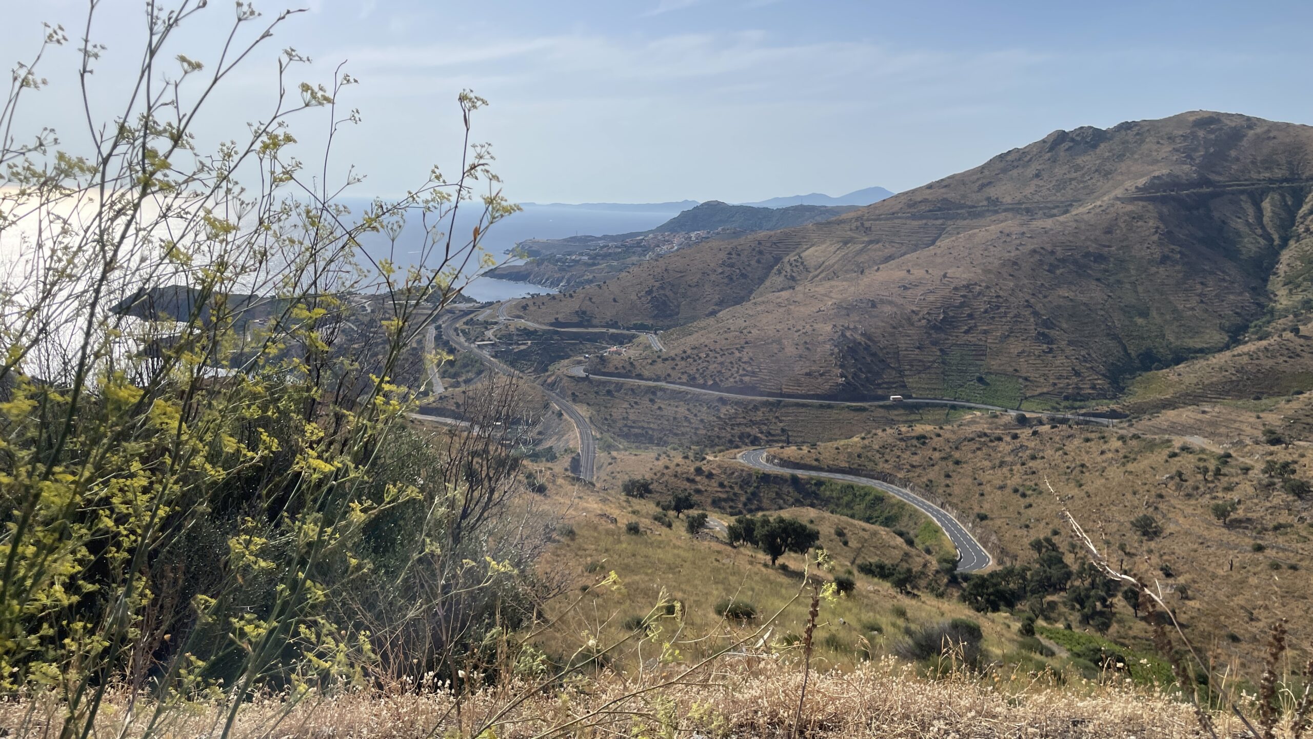banyuls-sur-mer