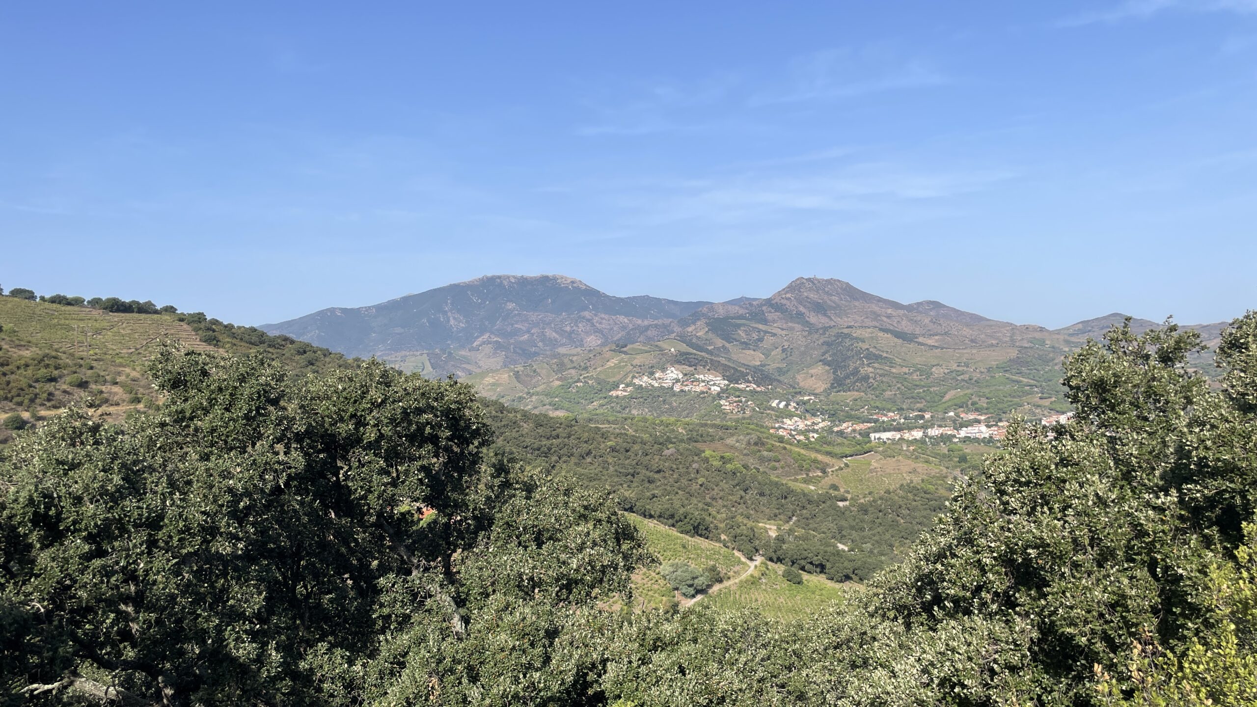 banyuls-sur-mer
