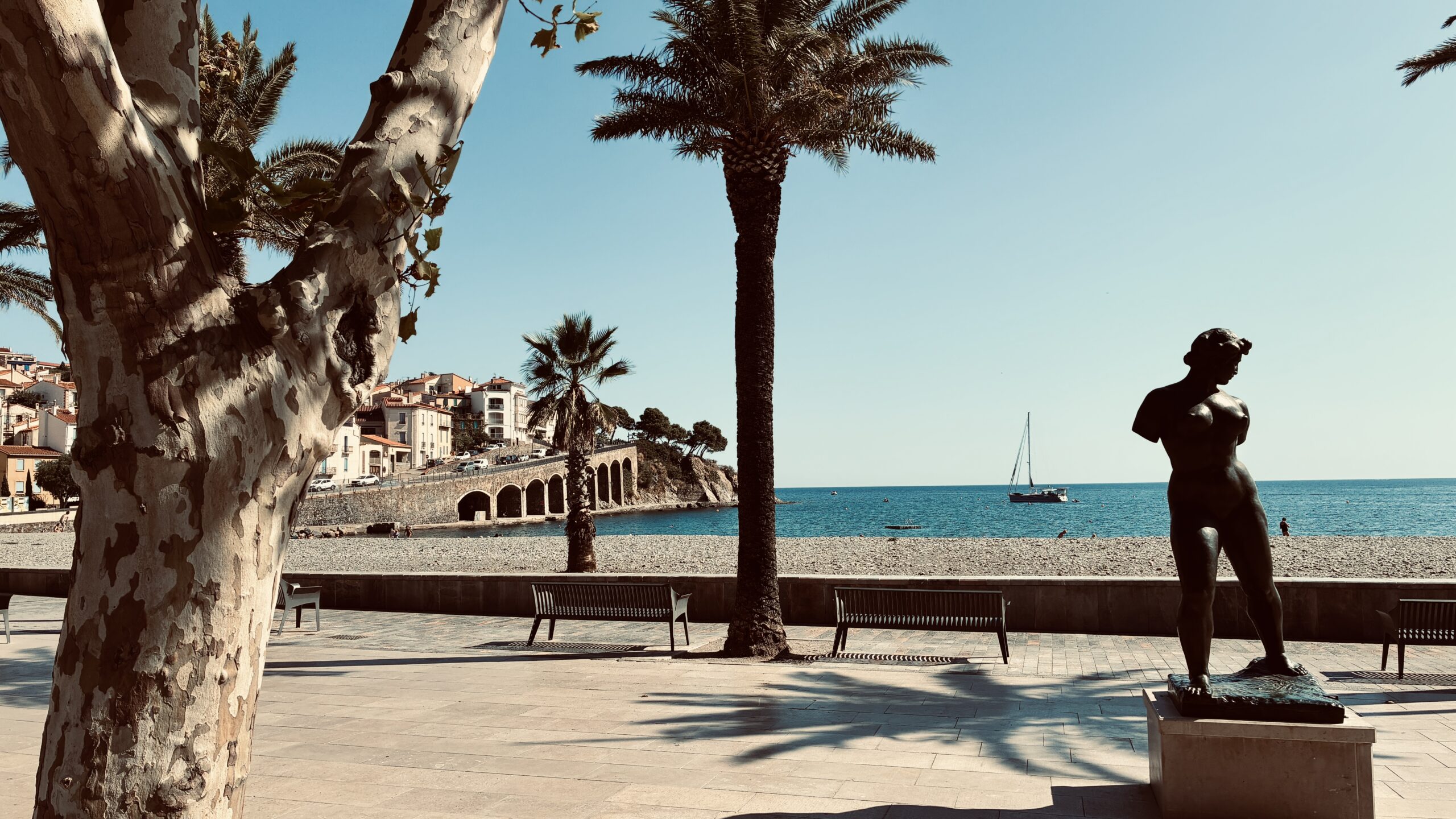 Banyuls